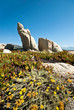 Corsica rock