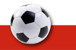 Poland, participant of football world championship 2006