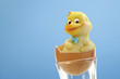 Marzipan chick in eggshell, close-up