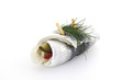 Rollmops, typical german food, close-up