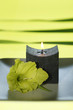 Gladiolus on plate by candle