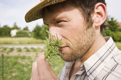 Foto: Farmer smelling rosemary, portrait, close-up Farmer smelling rosemary, portrait, close-up