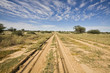 Africa, Botswana,Track through Kalahari Desert
