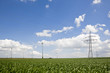 Germany, Saxony-Anhalt, Field of wind turbines and electricity pylons