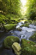 Germany, Bavarian Forest, Brook Buchberger Leite