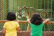 girls at zoo
