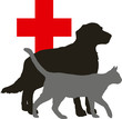 Pets