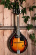 mandoline