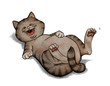 Katze, schadenfroh, lachen, auslachen Katze, schadenfroh, lachen, auslachen