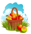 Vector: Basket with apples Basket with apples