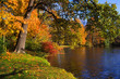 Indian summer-1