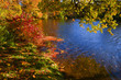 Indian summer-2