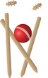 cricket wickets ball