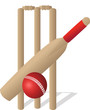 cricket set