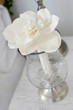 Close-up of a flower pot on a table