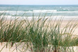 Strand in Norddänemark