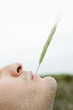Man with a stalk of wheat in his mouth