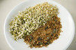 Close-up of bean sprouts with cereals on a plate