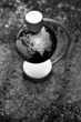 Travel globe
