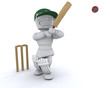 man playing cricket
