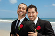 Photo: Two gay grooms Two gay grooms