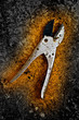 Pruning Shears