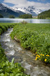 Am Champferersee