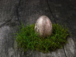 Ostern, Dekoration, Ostern, Dekoration,