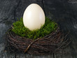 Ostern, Dekoration, Ostern, Dekoration,