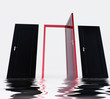 reflection doors