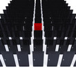 perspective doors
