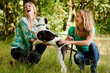 Sisters are playing with the dog Sisters are playing with the dog