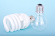Glühbirnen vs. Energiesparlampe Glühbirnen vs. Energiesparlampe