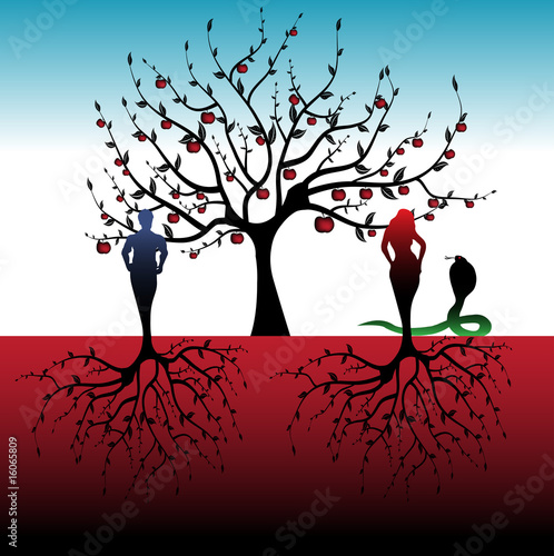 Illustration: Adam and Eve Adam and Eve