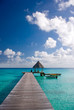 paradise dreams