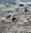 triathlon