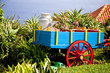 madeira