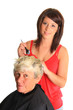 Hair stylist at work Hair stylist at work