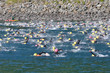 Triathlon