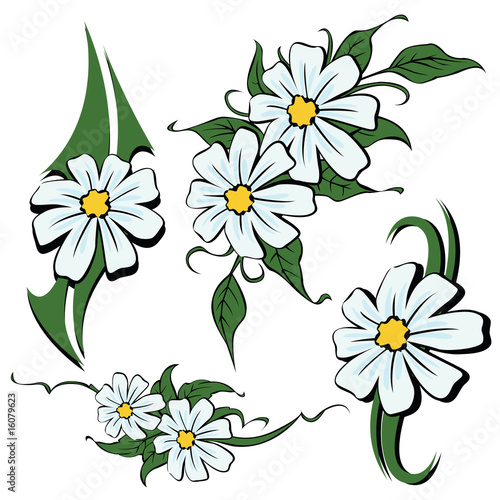 Selection of sketches tattoo tribal - camomile flowers