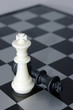 Chess kings: loose and winner Chess kings: loose and winner