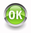 ''OK'' glossy icon