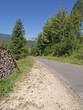 Chemin en foret, vue sur le Mont D'Or, jura.