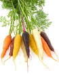 Foto: bunch of different coloured carrots bunch of different coloured carrots