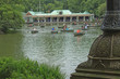 Barche a Central Park Barche a Central Park
