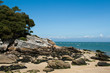 Côte rocheuse sur l'Ile de Noirmoutier Côte rocheuse sur l'Ile de Noirmoutier