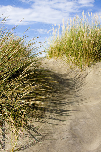 "Dune"