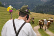 Man phoning in mountains, rear view