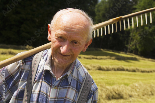 Foto: Austria, Salzburger Land, hay harvest Austria, Salzburger Land, hay harvest