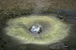 geysir in iceland - thermal area hveravellir